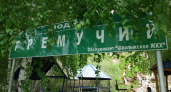 Айда на Гремучий! Владимир Беребин о роднике в Шарлыкском районе