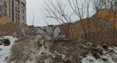 Дарья Беликова: «Чувак на бульдозере» это, в целом, наша общая реальность последнего времени»