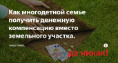 Вера Донскова: «Многодетные семьи Оренбурга не получают теперь ни участок, ни компенсацию! А Паслер в курсе?»
