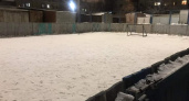 Вера Арнгольд: «Война войной, а Новый год по расписанию...»