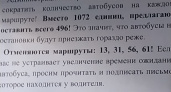 Оренбургские перевозчики собирают подписи против транспортной реформы