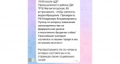 Оренбуржцы запишут видеообращение к президенту с просьбой изменить закон о бродячих собаках