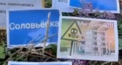 Более 3,5 тысяч оренбуржцев подписали петицию с требованием отмены стройки птицефабрики