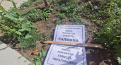 В центре Оренбурга на клумбах «покоится совесть Салмина»