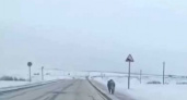 Кабан «Дядя Жора» покорил трассу Оренбург – Бугуруслан