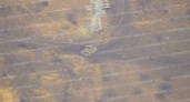 Танкисты 21-й бригады из Оренбургской области подбили американский танк Abrams