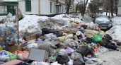 В Оренбурге жители улицы Луговая борются с мусорными проблемами