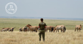 Оренбургский заповедник отметил 35-летний юбилей