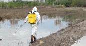В Орске начали обработку появившихся после паводка водоемов от комаров