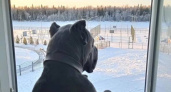 Два экопоста в Орске временно прекратили свою работу