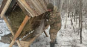 В Оренбуржье стартовала зимняя подкормка диких животных в лесах
