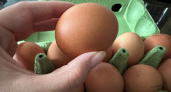 Мутная жижа в грязной скорлупе: в Роскачестве назвали 4 марки яиц, которые нельзя брать даже по акции