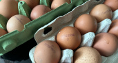 В Оренбуржье пресекли незаконный вывоз 37 тысяч яиц и кур в Казахстан