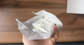 Опытные хозяйки творог скупают килограммами: готовят вкуснятину на завтрак — не творожники и не запеканка