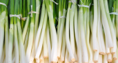 Как хранить зеленый лук, чтобы он не гнил в холодильнике: запомните раз и навсегда 
