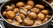 Как правильно варить грибы до готовности
