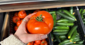 В Оренбуржье подорожали огурцы и помидоры