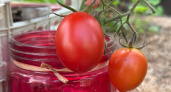 "Король томатов" завалит плодами: в 2026-м сажаем урожайный сорт — идеален на засолку