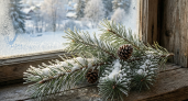 Ставлю на подоконник — и зиму живу спокойно: в доме тепло в —40°C и пахнет хвоей Сибири