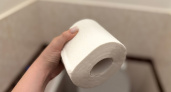 Втулки от туалетной бумаги берегу как зеницу ока: вот как их применяю — очень полезная вещь для решения многих проблем