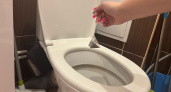 Чайные пакетики больше не выкидываю - очищают унитаз лучше химии: результат впечатлил