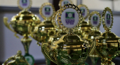 Юные футболисты из Оренбуржья вышли в финал всероссийского турнира