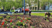 В Оренбурге высаживают цветы на городских клумбах