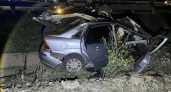 В Орске столкновение автомобиля с лошадью привело к гибели двух человек