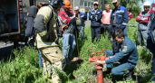 В Оренбуржье прошли обучение добровольные пожарные