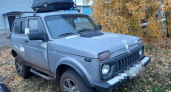 В Оренбуржье браконьера обязали возместить ущерб за отстрел оленя