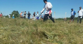 В Домбаровском районе стартовал финал «Золотого колоса Оренбуржья»