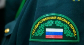 В лесах Оренбуржья продолжается пожароопасный сезон