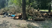 В Орске с начала года вывезли более 3 тысяч кубометров мусора