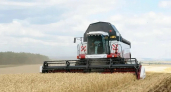 В Оренбуржье урожай зерна превысил прошлогодний на 600 тысяч тонн