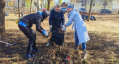 Участниками общегородского субботника стали более 500 оренбуржцев