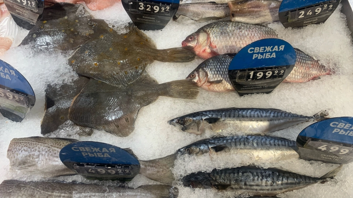 Селёдка для «Шубы»: 2 признака более жирной и мясистой тушки