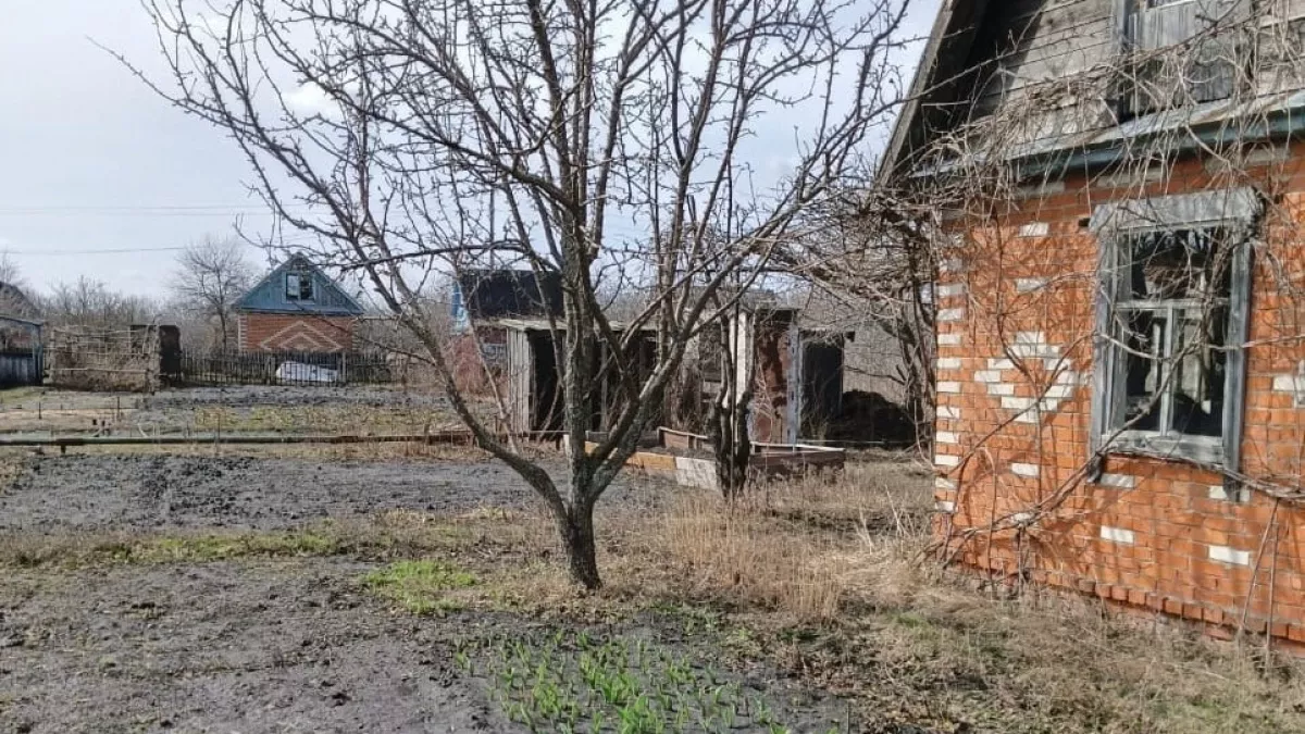 Спустя 5 лет осознали, на чем можно заработать в деревне: теперь получаем чистыми 5 млн в год