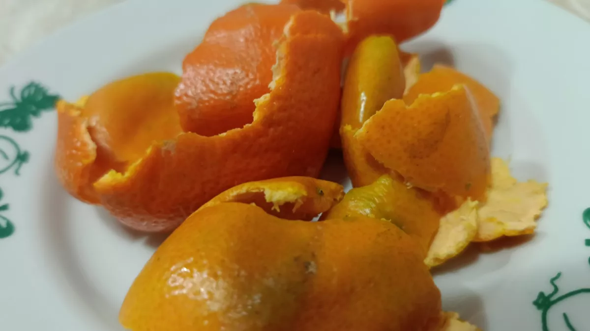 Беру мандариновые корки - и прячу в шкаф: затхлости как будто не было. Мой проверенный метод 