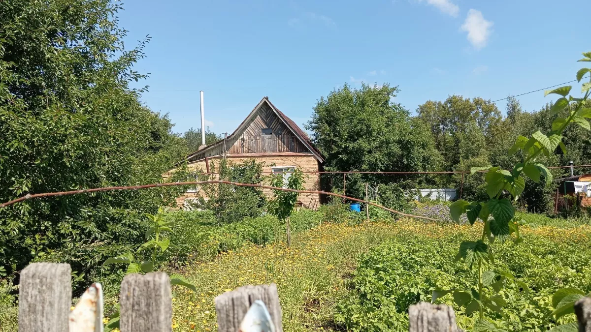 Переехали из города в глушь и разбогатели без коров и кур: пенсионеры поняли, как легко заработать в деревне 