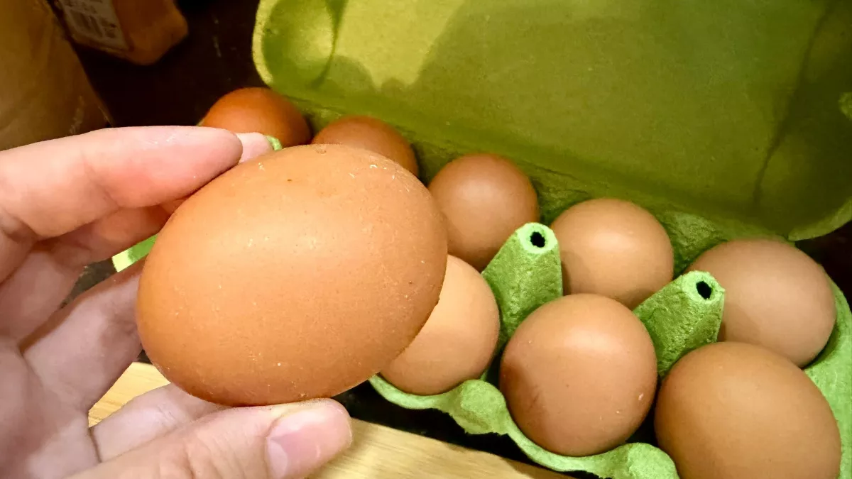 Употребляем каждое утро и даже не знаем: сколько яиц можно есть в день - эксперт дал четкий ответ 