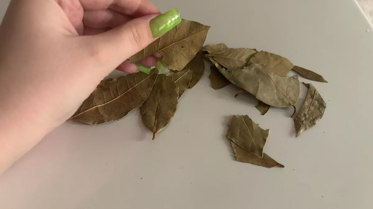 В феврале поджигаю лаврушку в квартире: даже дышать стало легче - вот для чего это нужно 