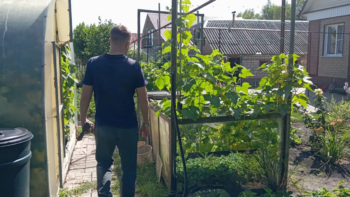 Запомните раз и навсегда: каких людей не стоит пускать в свой дом - четкий ответ дал Мураками