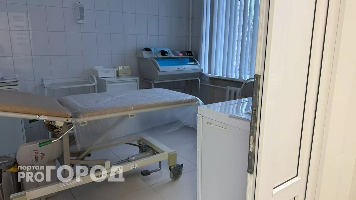 В Оренбургской области за месяц выявили семь случаев бешенства среди животных