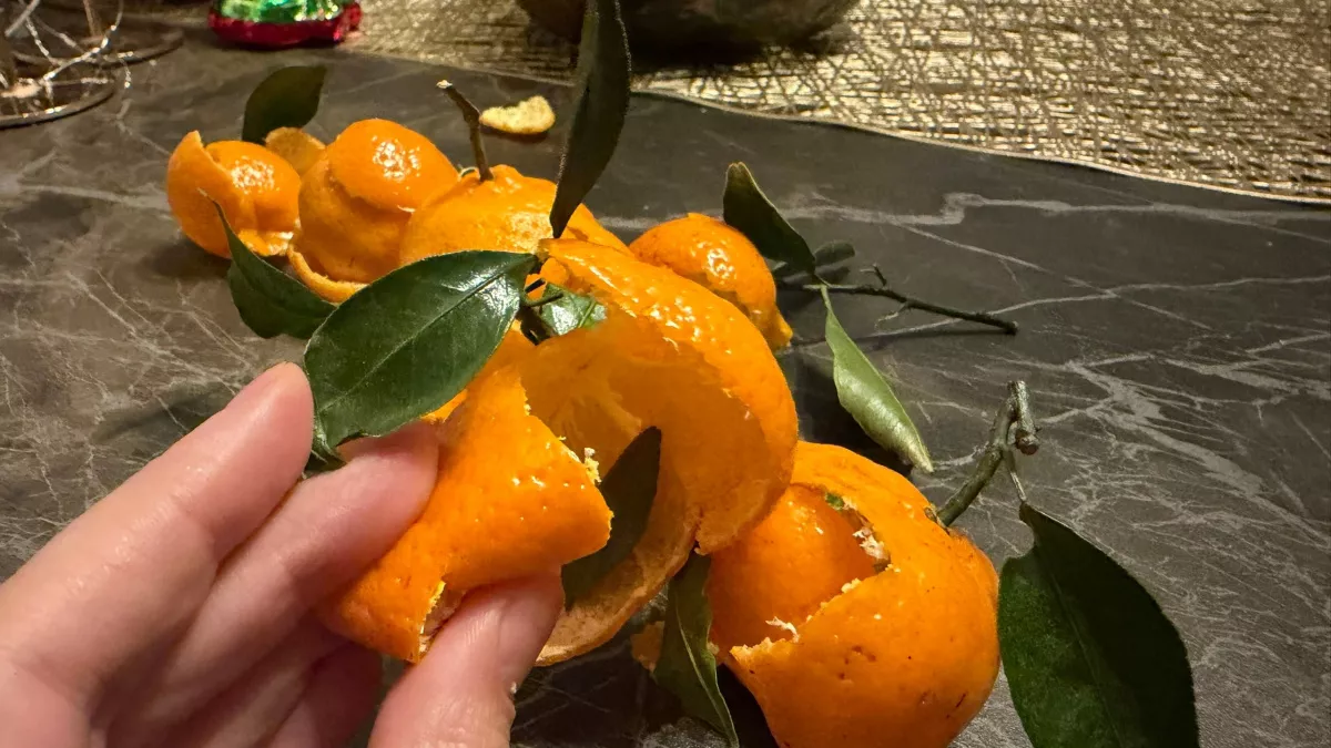 Не выбрасывайте мандариновые шкурки в ведро: нашла 2 идеальных метода применения в огороде - эффект удивил всех соседей 