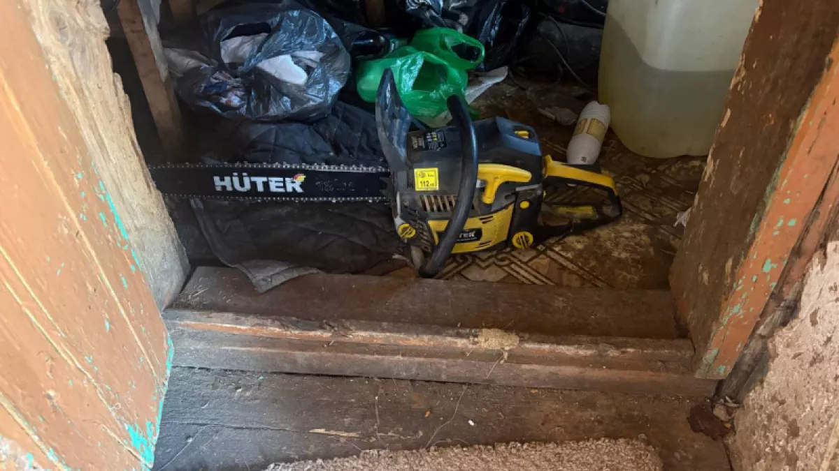 Житель Оренбуржья пришел занять денег у соседа и украл бензопилу