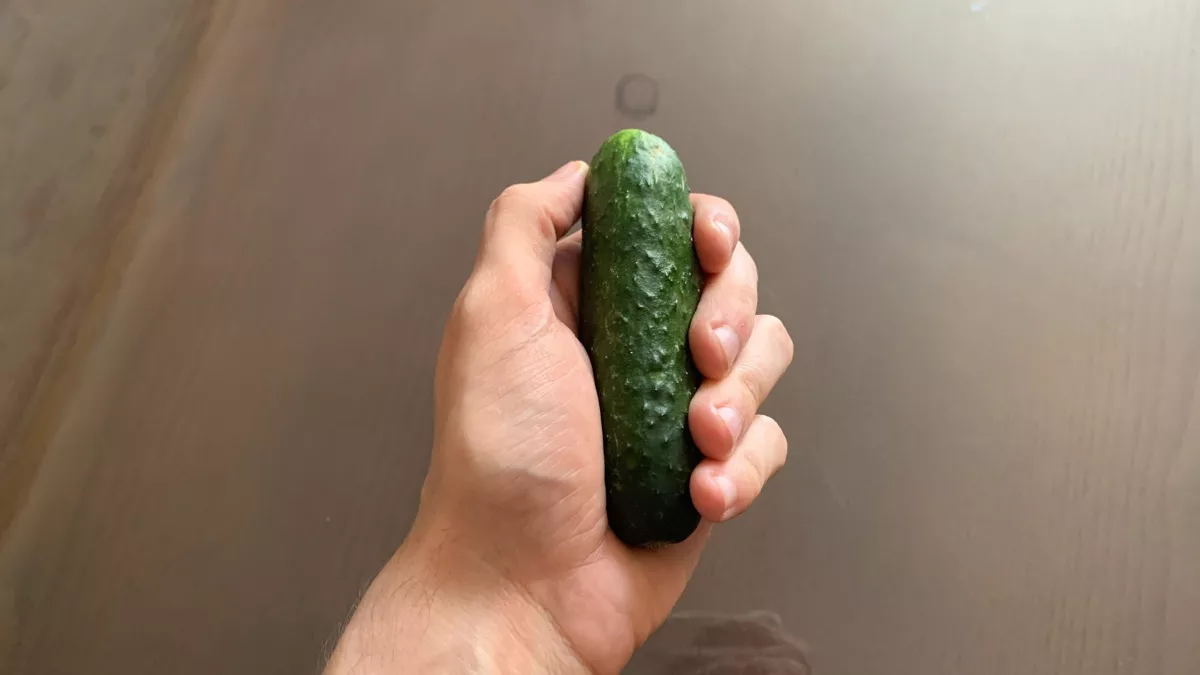Ученые дали четкий ответ, зачем чистить кожуру с магазинных огурцов: а мы едим и детям даем  