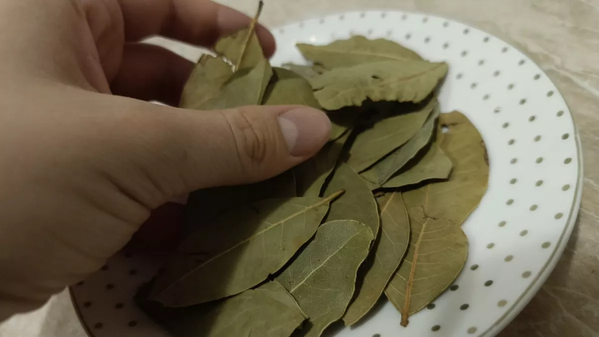 Кладу лаврушку под ковриком у входа в квартиру - и радуюсь многозвенному эффекту - метод оказался рабочим