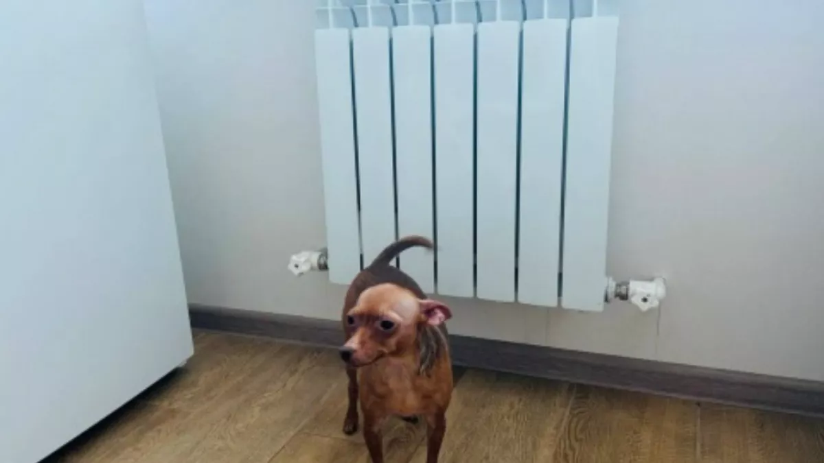 В Орске замерзают жители дома №60А по проспекту Никельщиков. Власти обещали "починить" поломку