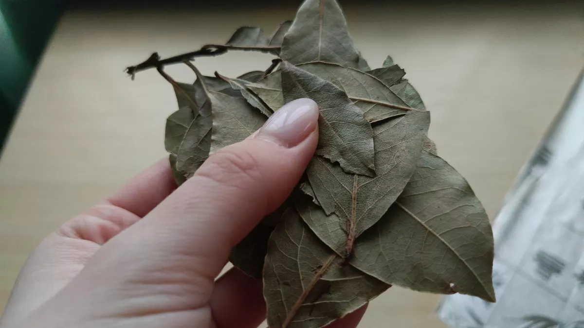 Покупать освежители больше не надо: заменила их на смесь лаврушки с содой - как приготовить волшебное средство