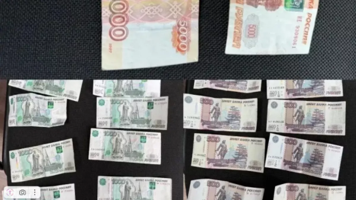 В Оренбуржье иностранец пытался откупиться от полиции и стал фигурантом уголовного дела